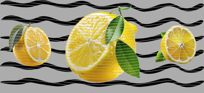 16oz delicacy-DE-396